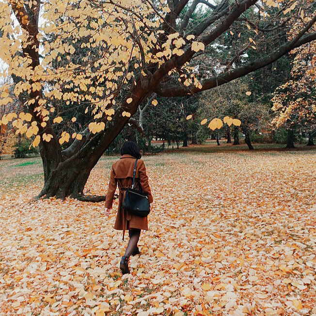 The Mushrooms in October, & Other Things