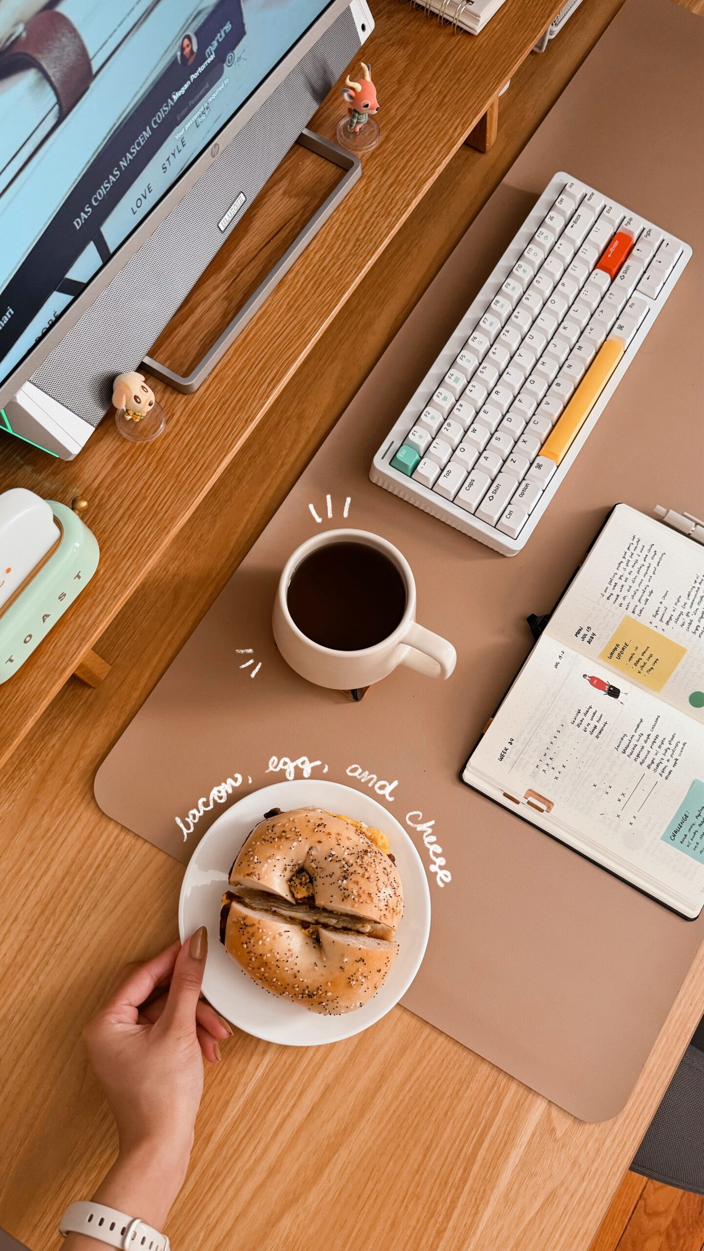 Introducing Desk Diaries