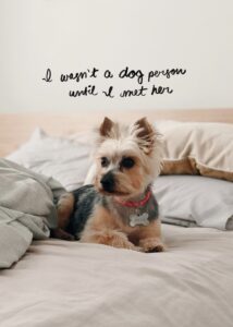 Afterwords 03: Samantha, And More